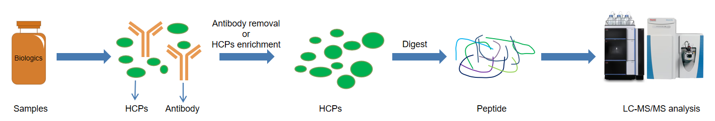 1869989932069146624-host-cell-protein-detection-service1.PNG