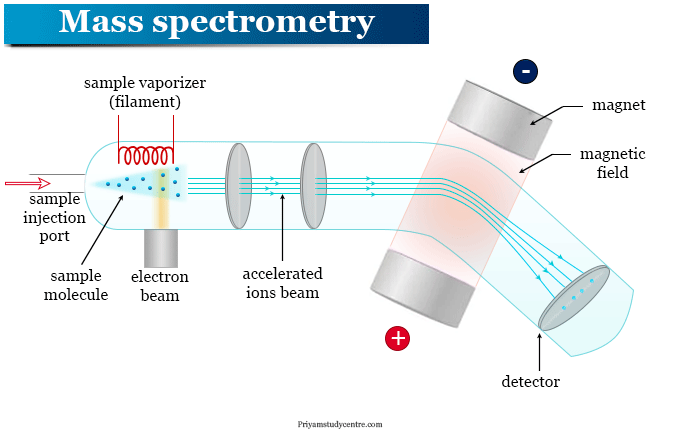 1871396945416278016-mass-spectrometry-protein-sequencing-service1.png