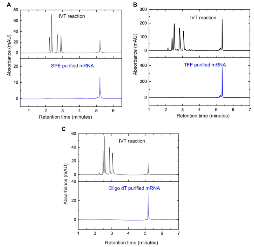 1871429684450414592-mrna-hplc-analysis-service3.PNG