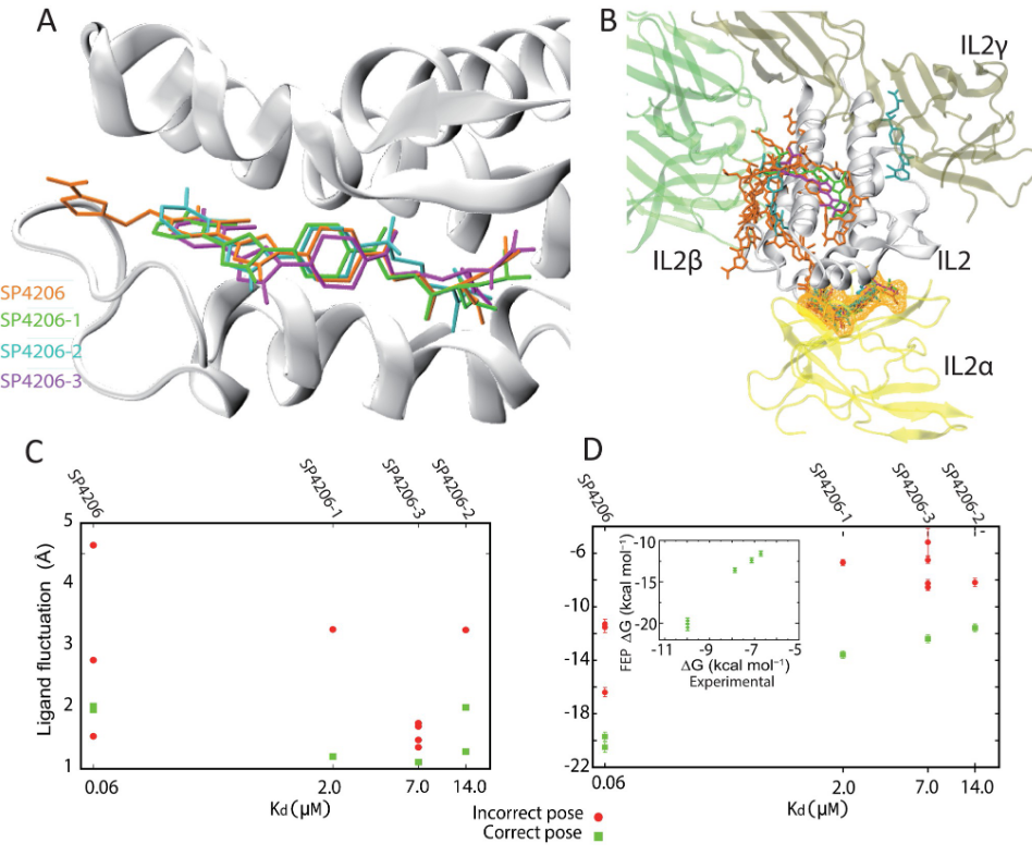 1871436361862074368-ligand-receptor-analysis-service3.PNG