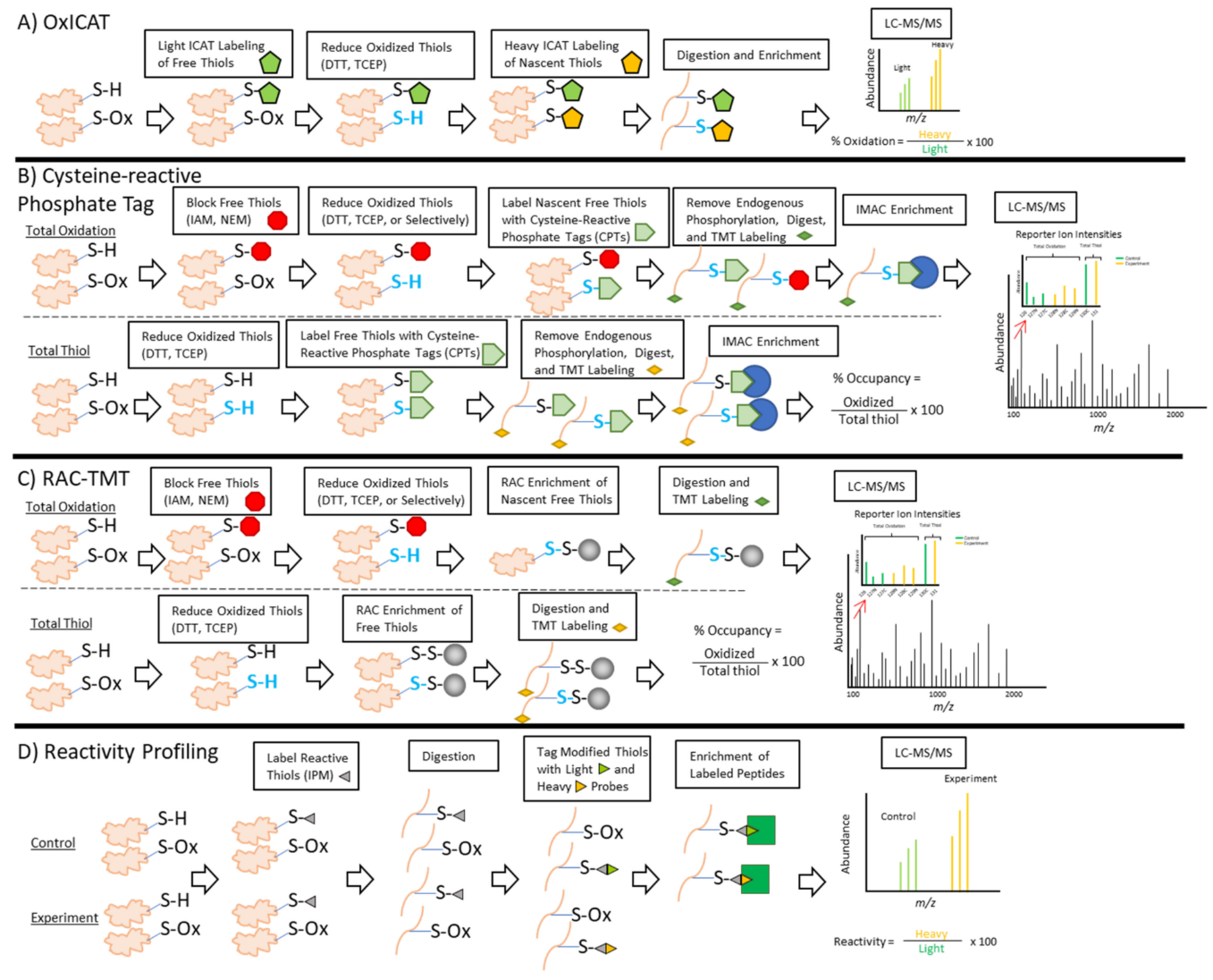 1871822938622775296-redox-proteomics-service2.PNG