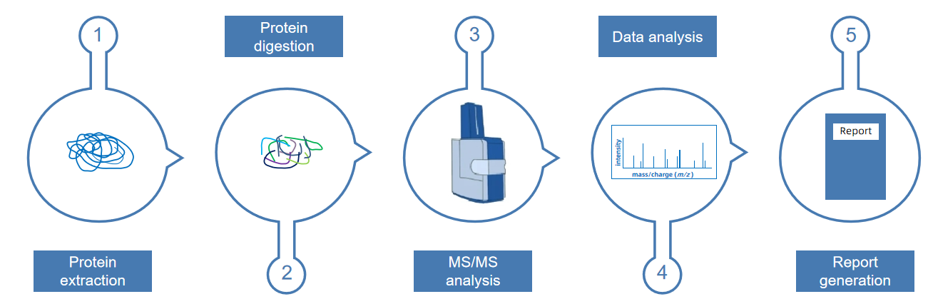 1872162354801266688-proteomic-profiling-service1.PNG