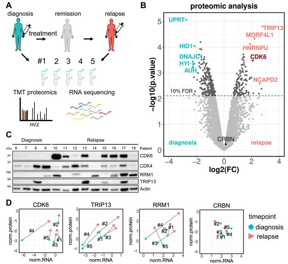1872162524397948928-proteomic-profiling-service3.PNG