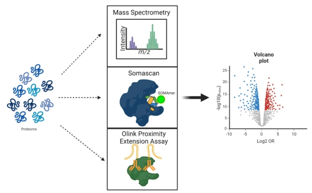 1872162588520468480-proteomic-profiling-service4.PNG
