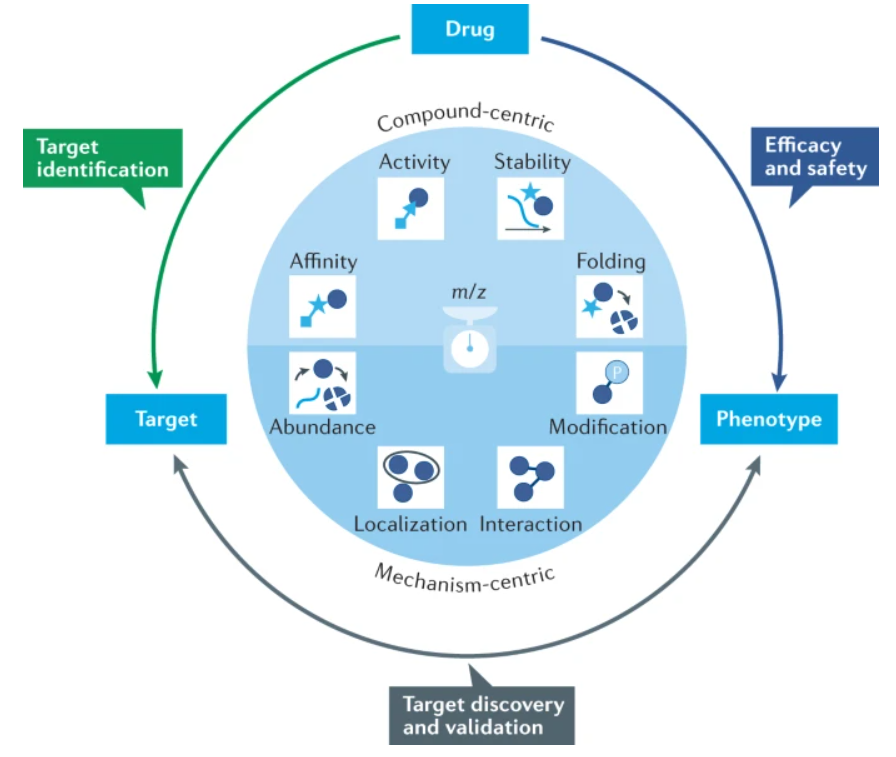 1872162654270377984-proteomic-profiling-service5.PNG