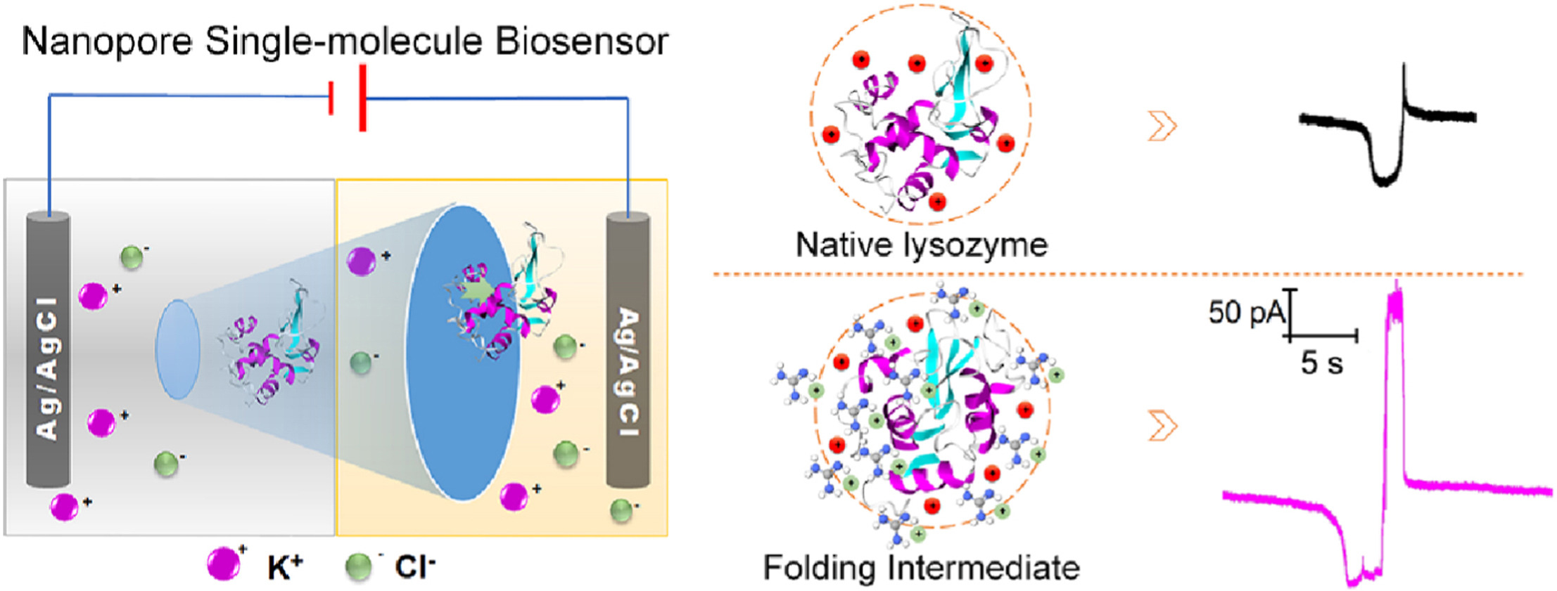 1872095990864490496-nanopore-protein-sequencing-service1.jpg