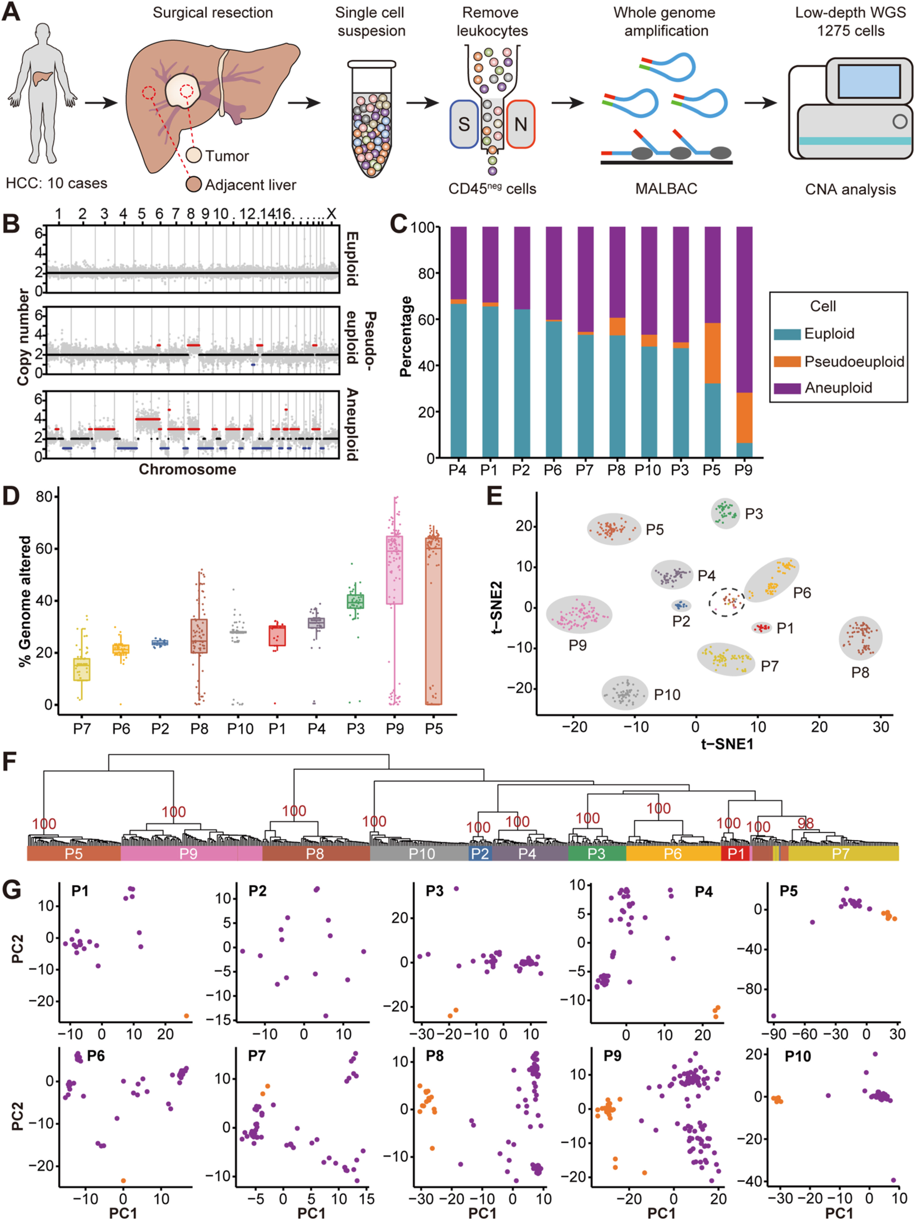 1871476289014714368-single-cell-genome-sequencing-service2.jpg