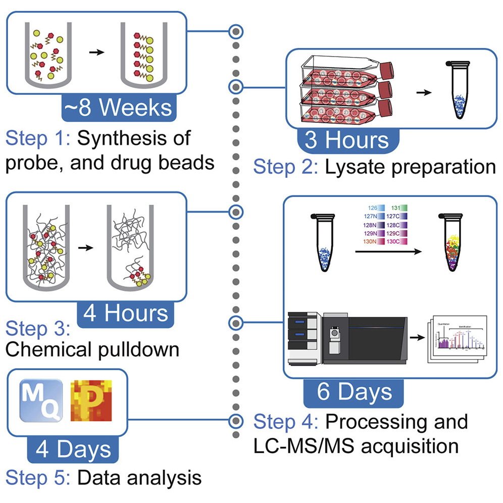 1871816267133472768-pull-down-assays-service2.jpg