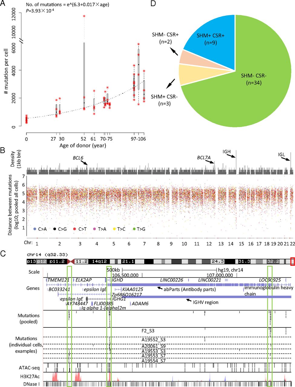 1871824296830685184-single-cell-whole-genome-sequencing-service1.jpeg