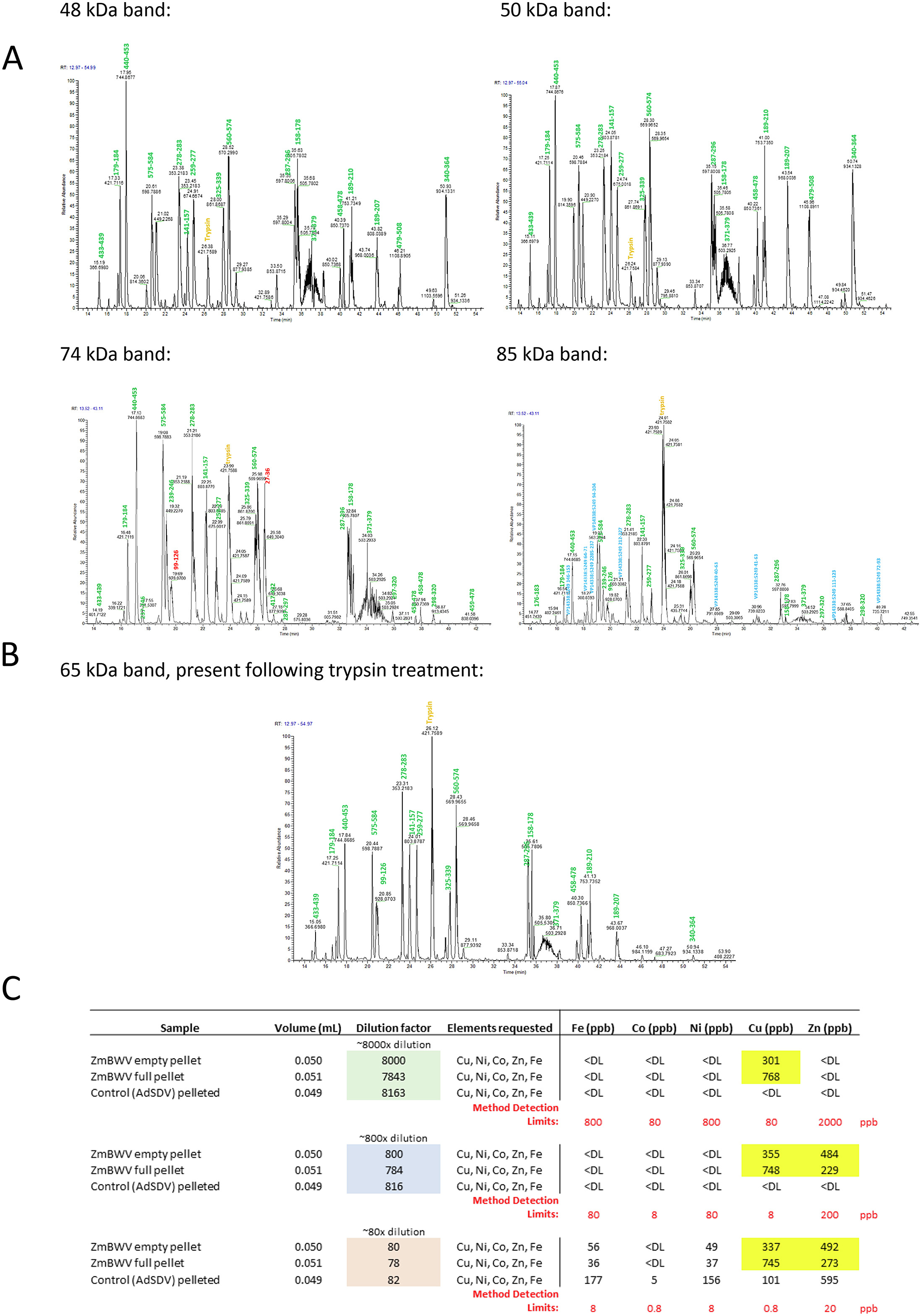 1872178145256919040-ms-protein-sequencing-service1.jpg