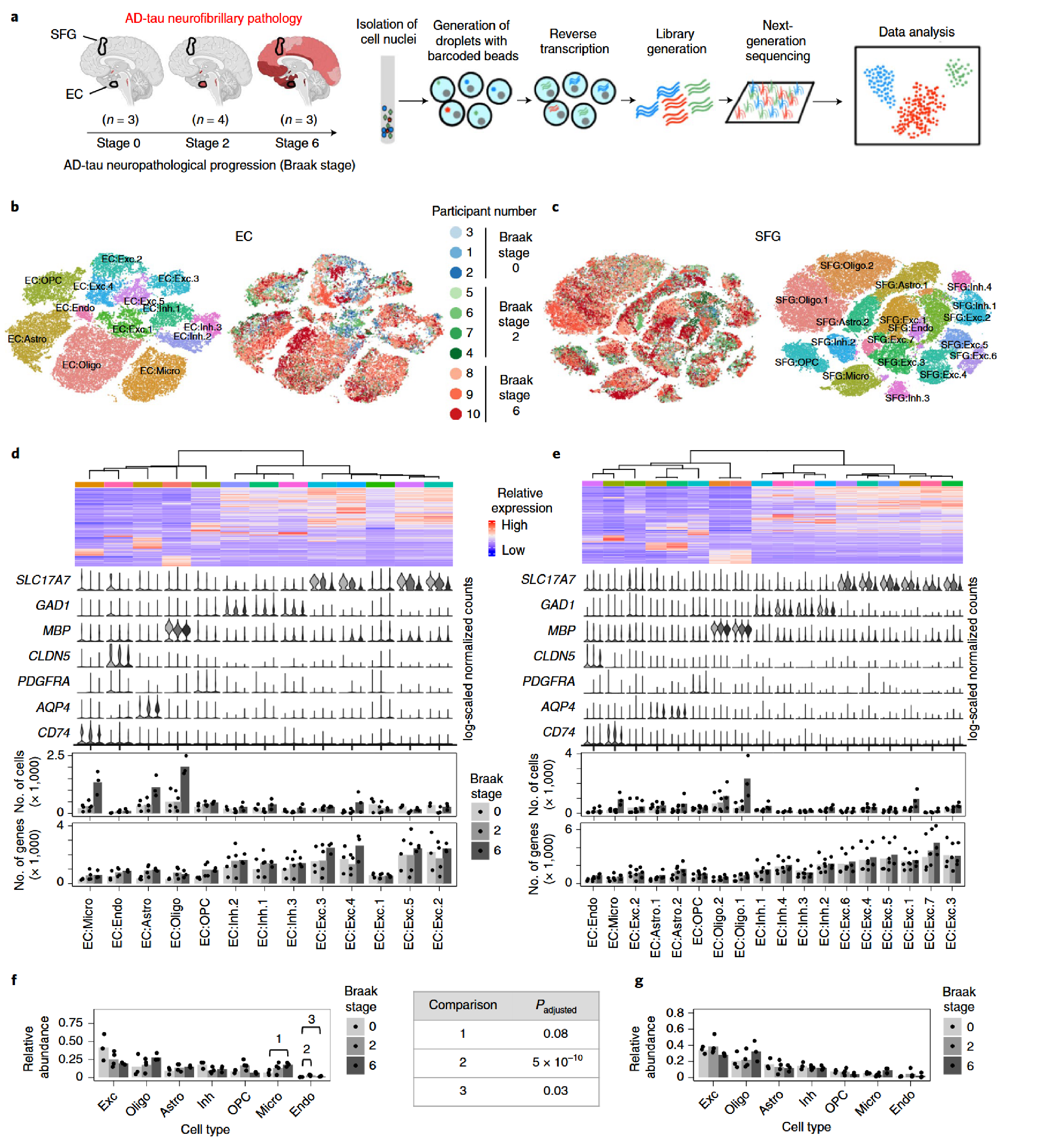 1872459726072696832-single-nucleus-rna-sequencing-service2.png