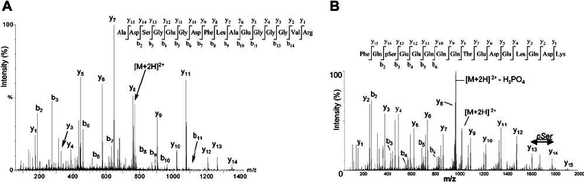 1872518930833723392-ms-protein-sequencing-service2.png