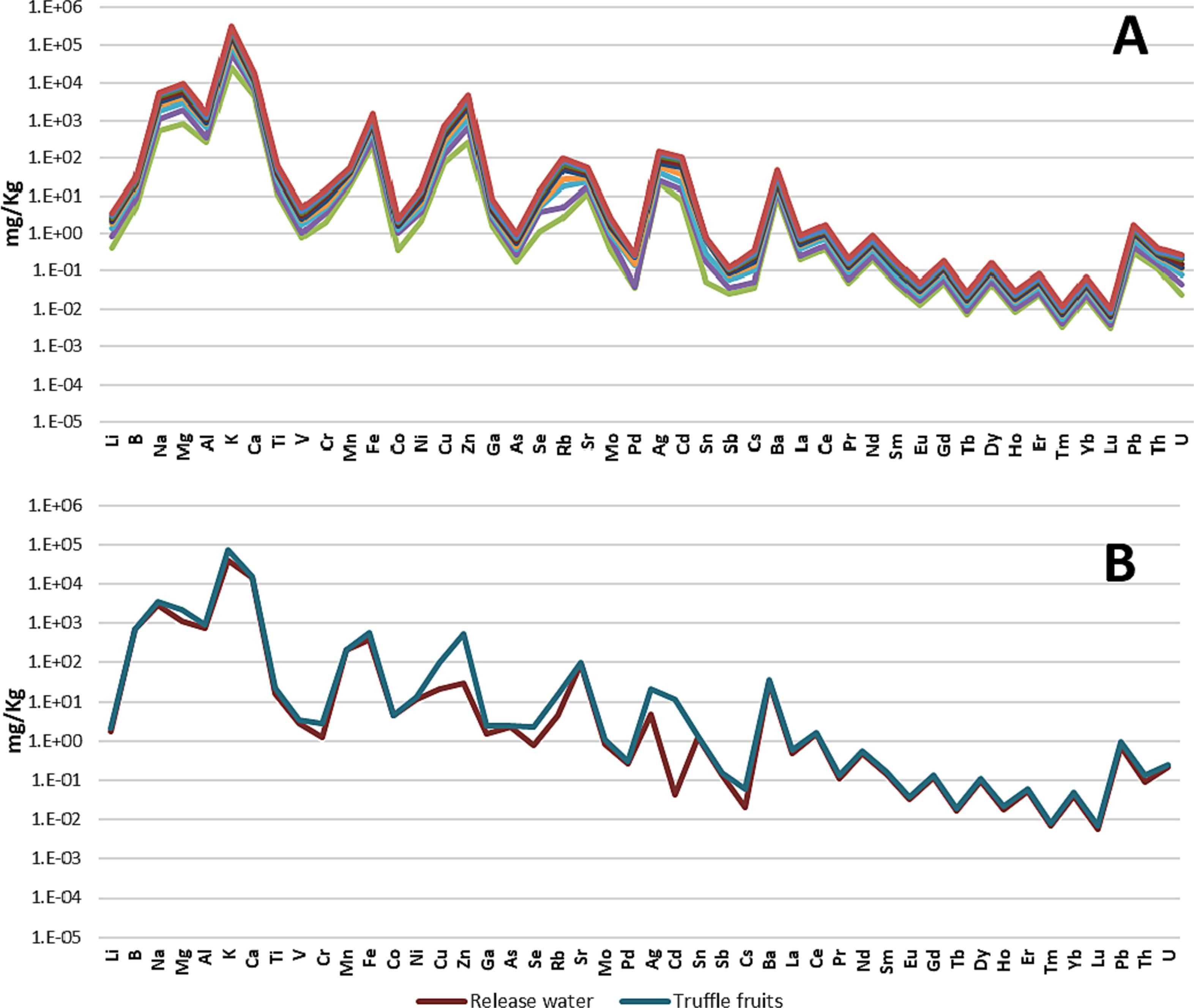 1872569807191789568-icp-elemental-analysis-service4.jpg