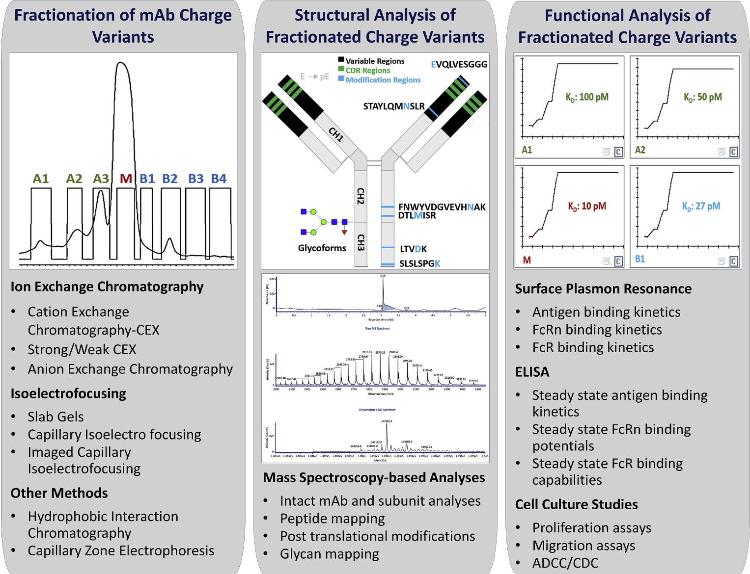 1872540053122174976-charge-variant-analysis-service1.png