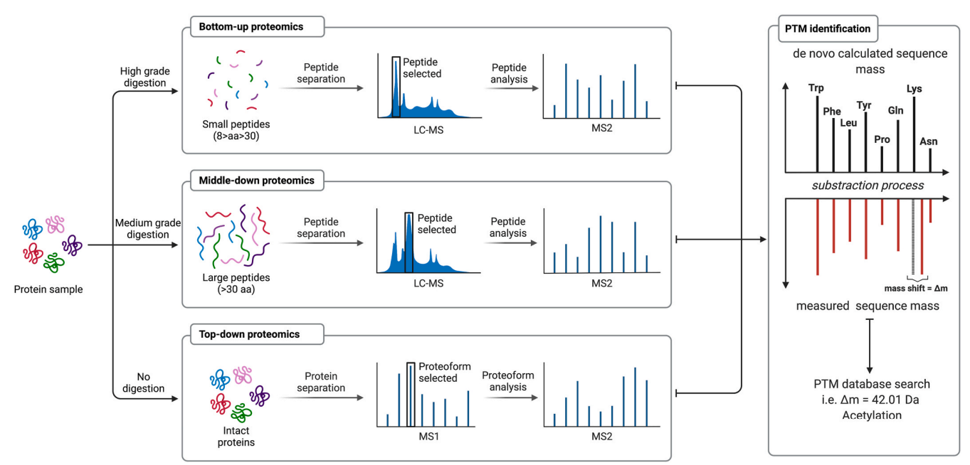 1873900743680405504-proteomics3.png