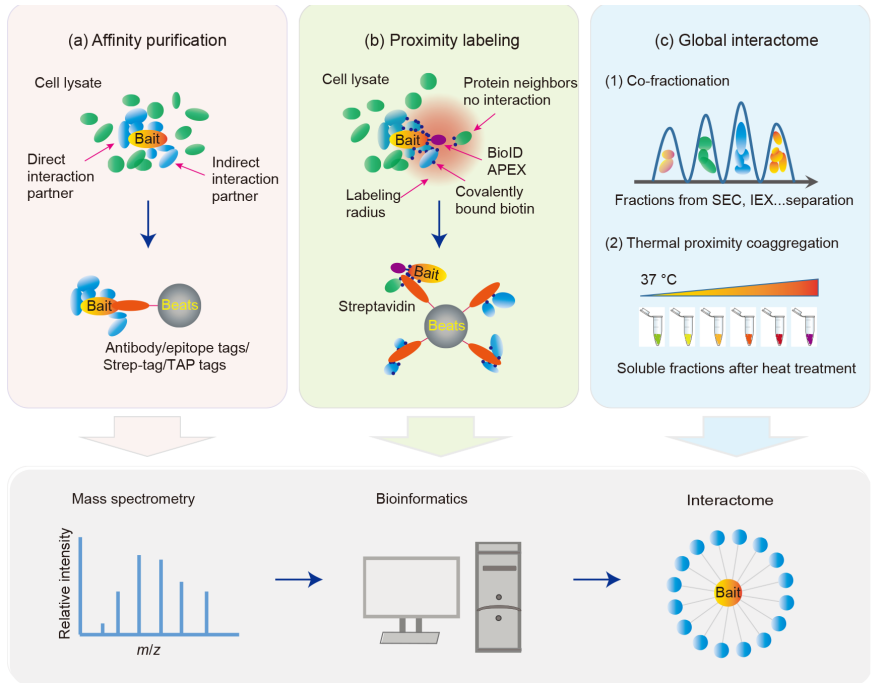 1873900828547952640-proteomics4.png