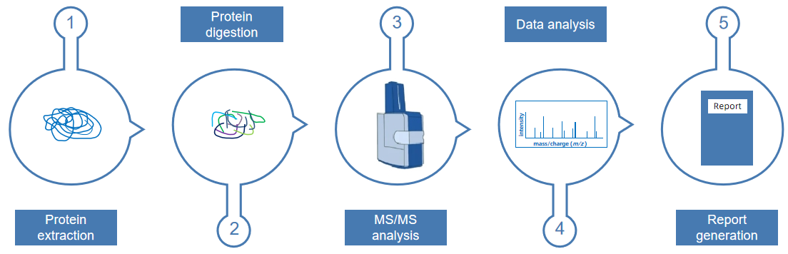 1873900900081807360-proteomics5.png