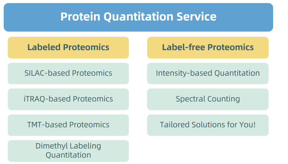 1873900992713011200-proteomics6.png