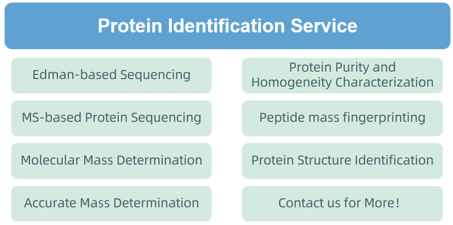 1873901148493656064-proteomics7.png