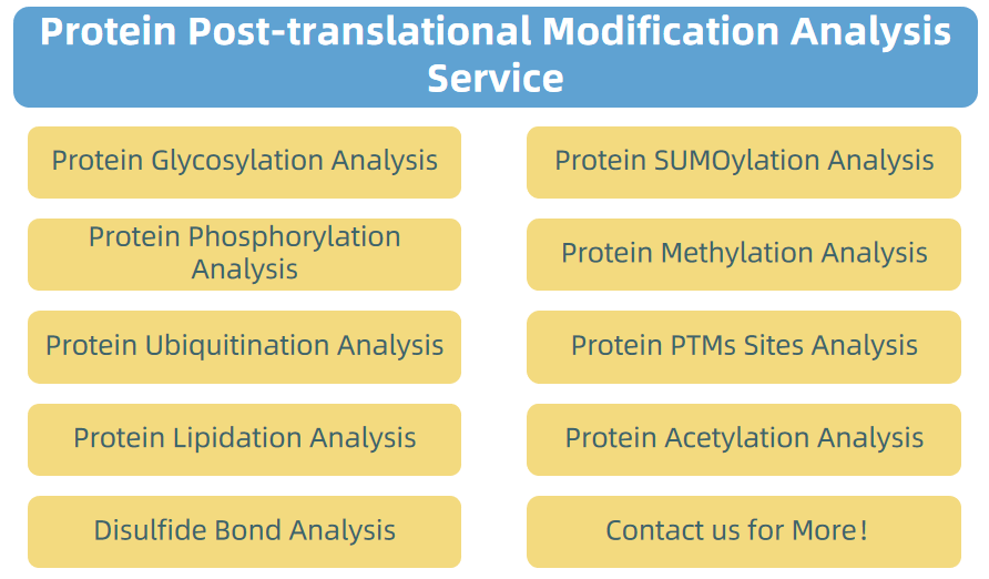 1873901212297408512-proteomics8.png