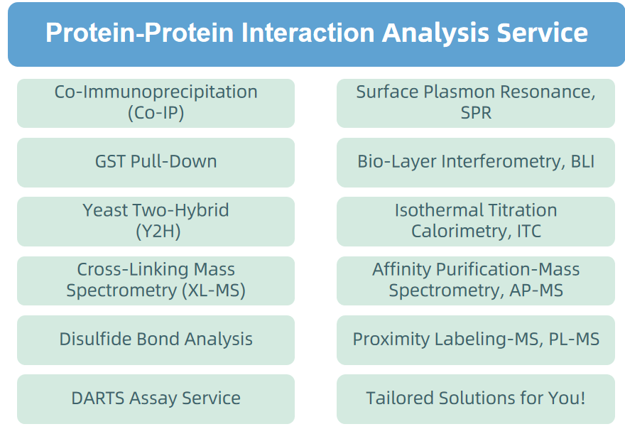 1873901269306388480-proteomics9.png