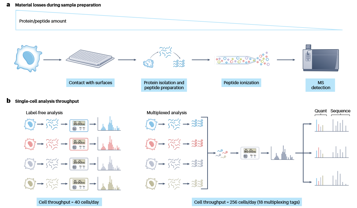 1874000694223687680-single-cell-proteomics-service1.PNG