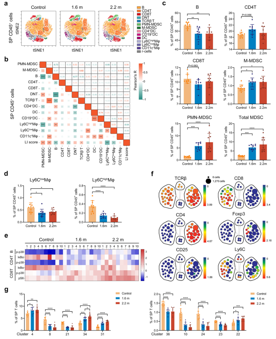 1874001062353555456-single-cell-proteomics-service4.PNG