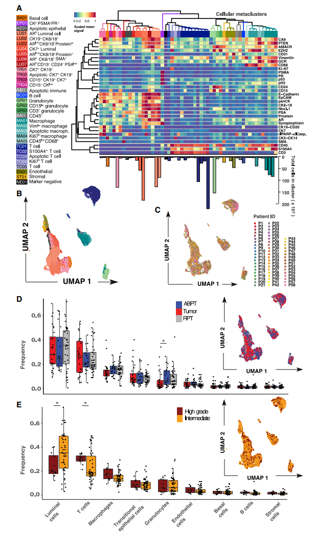 1874001128124436480-single-cell-proteomics-service5.PNG