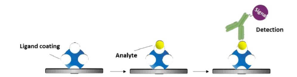 1874666124714037248-protein-ligand-binding-assay-service1.png