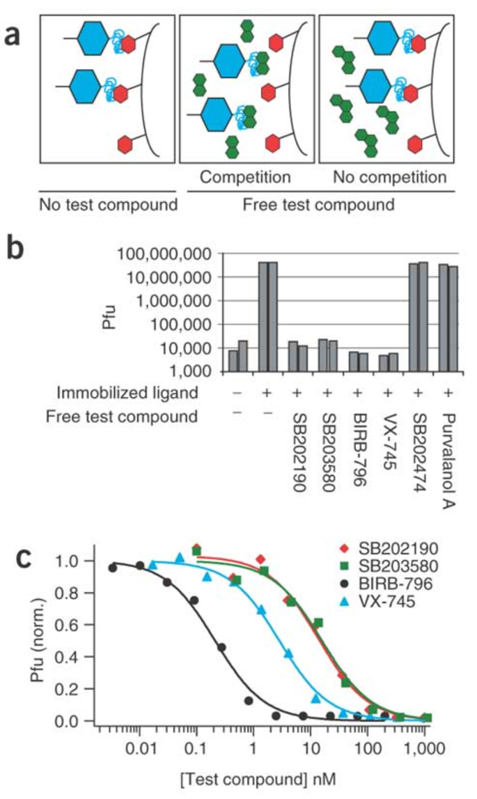 1874709672587022336-protein-ligand-binding-assay-service2.png