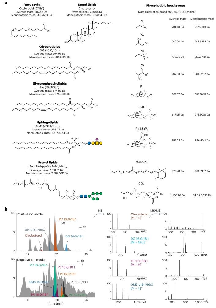 1874657956623626240-lipidomics2.png