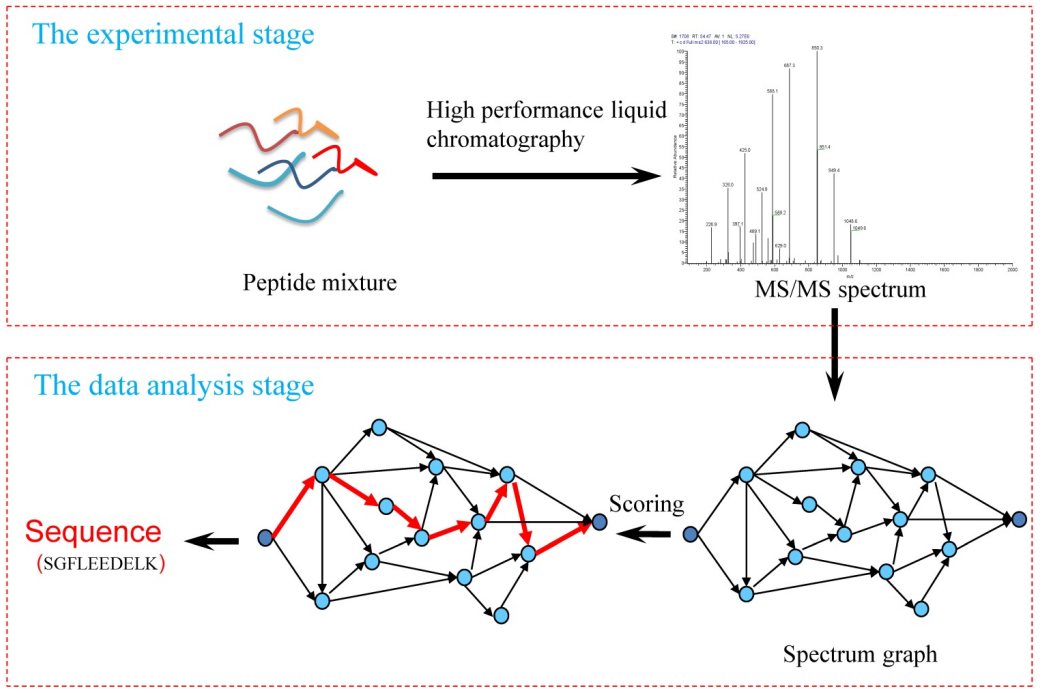 1874705727959412736-peptide-denovo-sequencing1.png