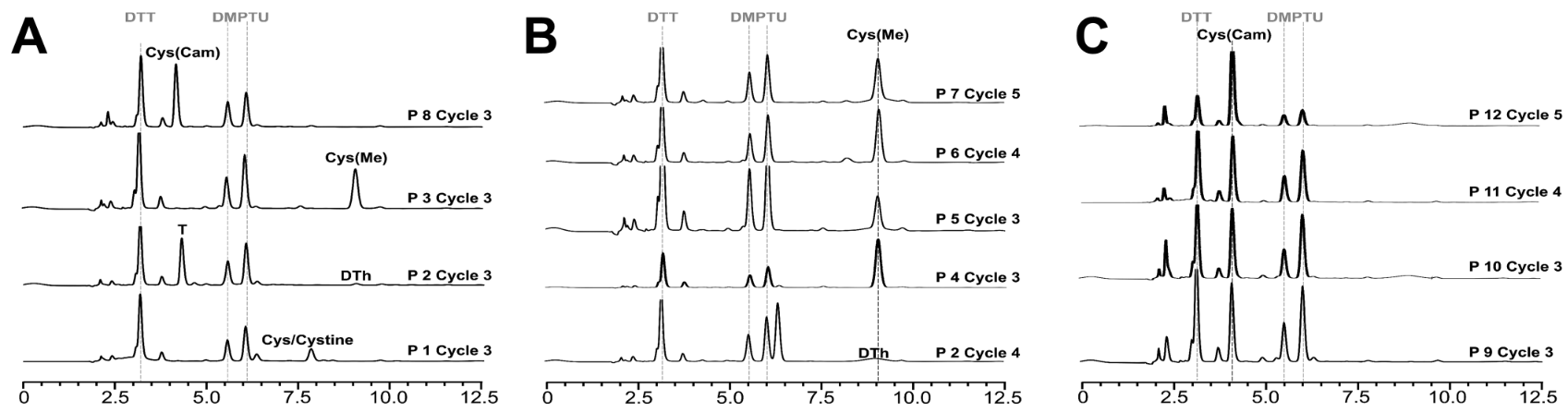 1875022203870326784-edman-degradation-service2.png