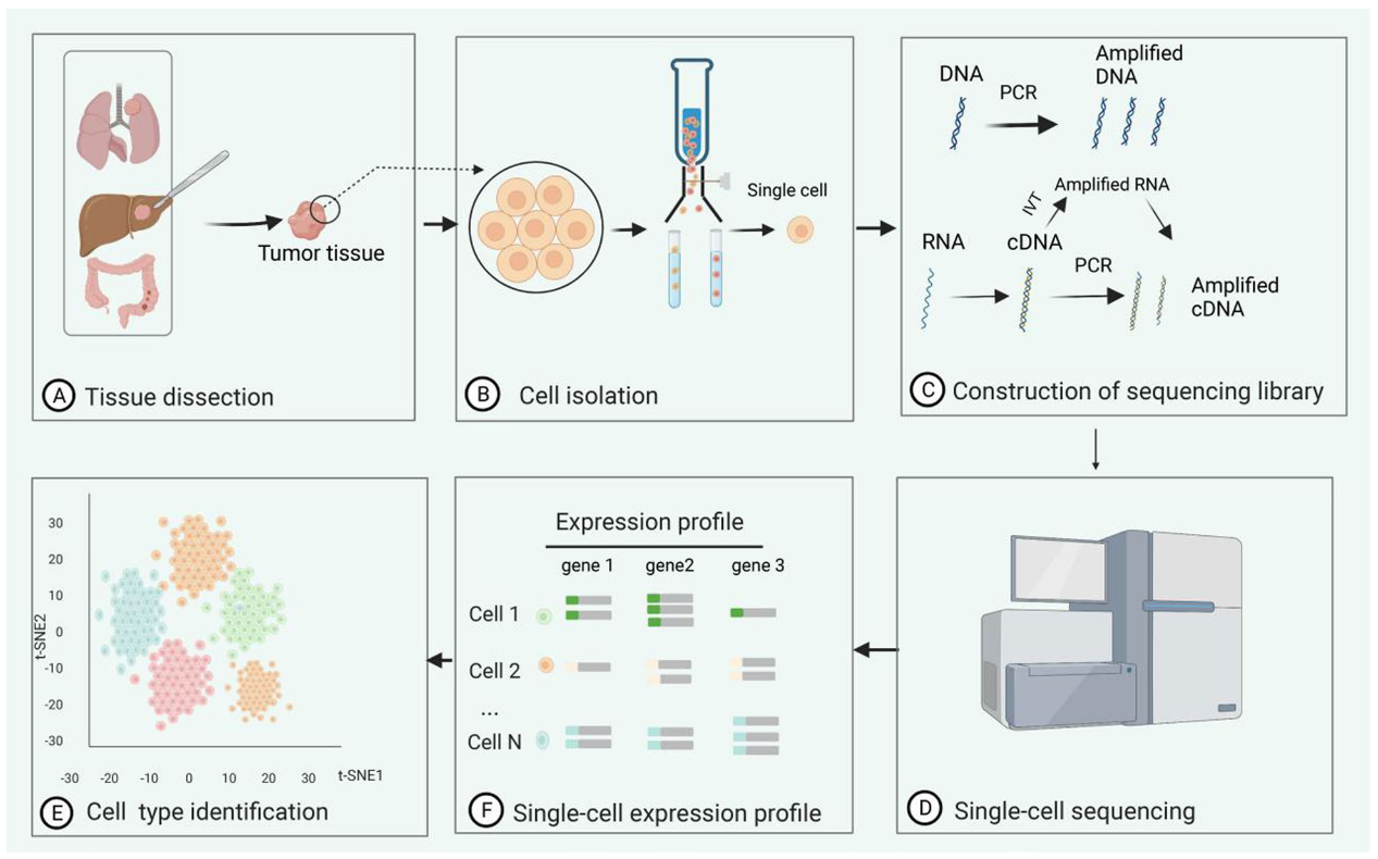 1875079142687977472-single-cell-sequencing1.png