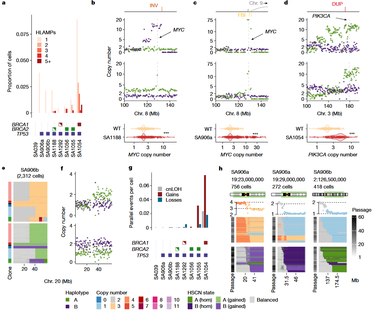 1875079244236271616-single-cell-sequencing2.png