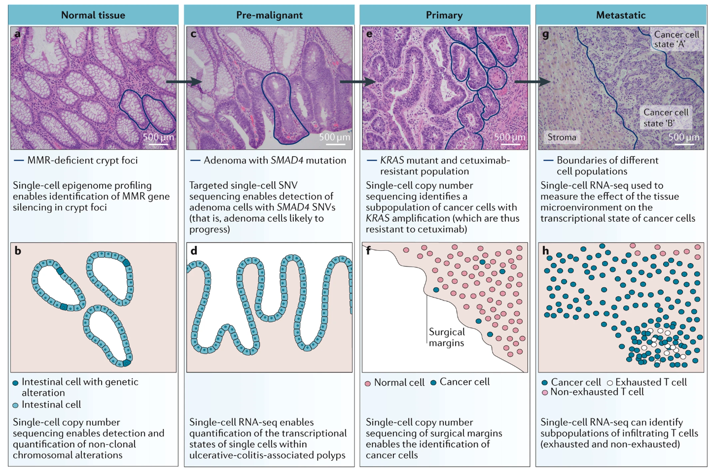 1875079503351984128-single-cell-sequencing4.png