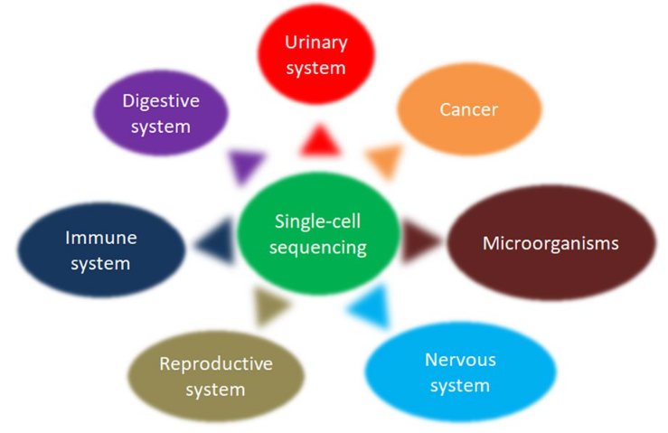 1875079703785189376-single-cell-sequencing6.png