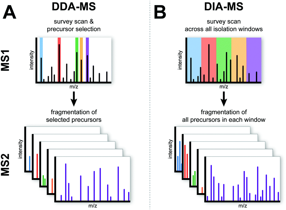 1876913690855985152-dia-mass-spec-service1.png