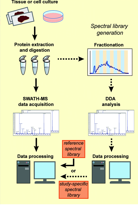 1876914344605372416-dia-mass-spec-service2.png