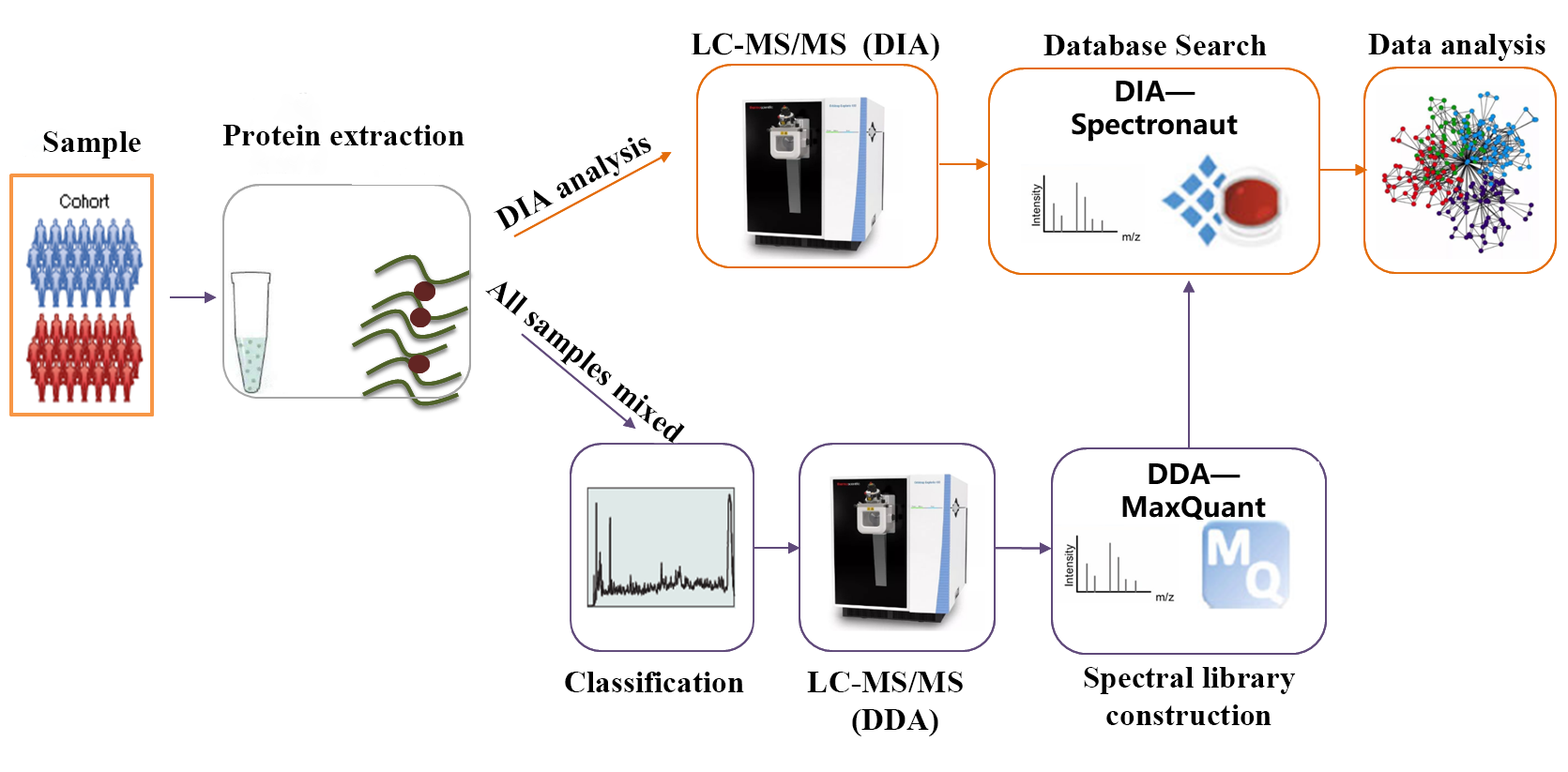 1876921639334694912-aging-proteomics-service2.png