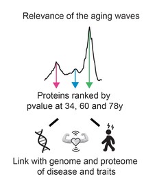 1877188278294794240-aging-proteomics-service3.jpg