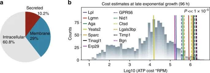 1877524183108890624-host-cell-protein-assay-service2.webp