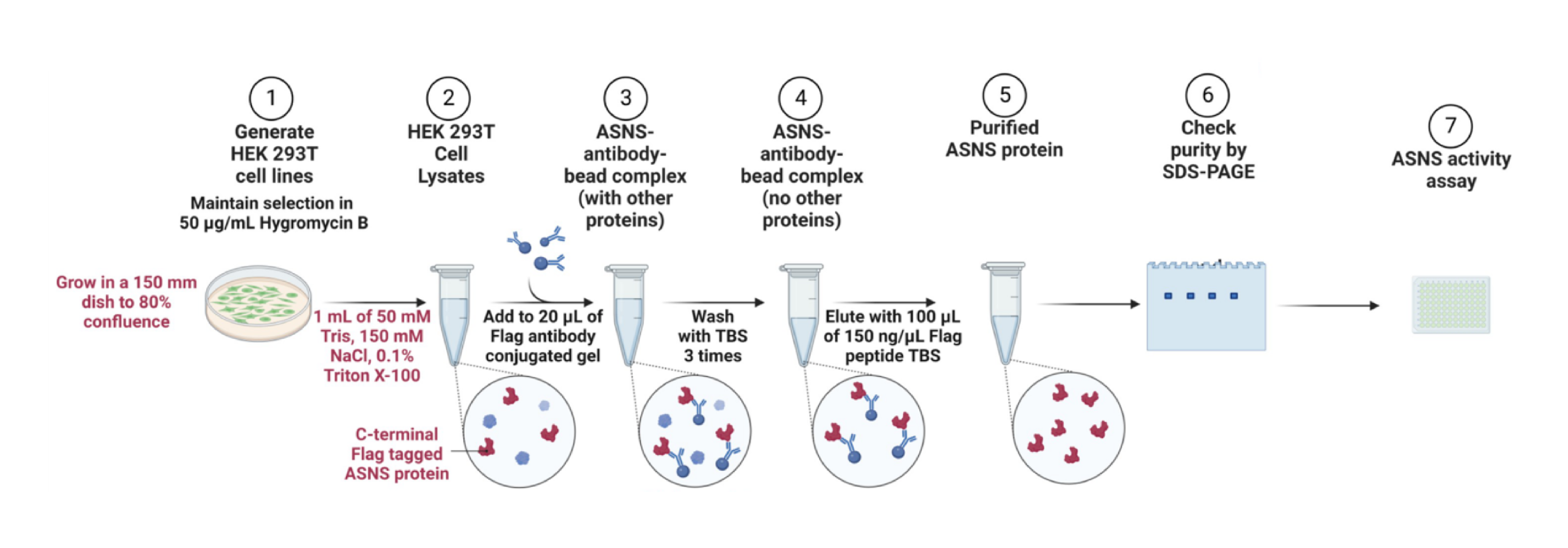 1878646877210660864-protein-enrichment-analysis-service1.png
