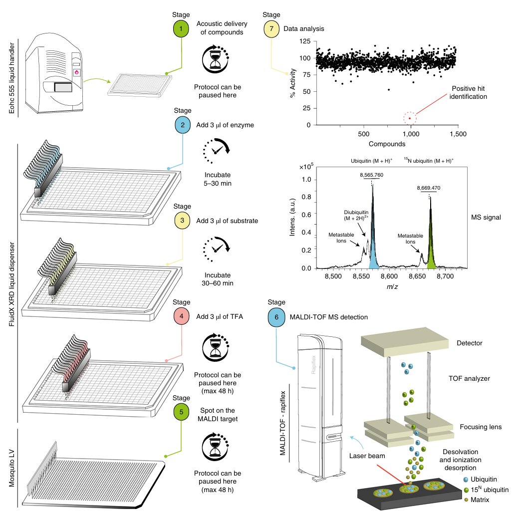 1878712394516647936-maldi-mass-spectrometry-analysis-service2.png