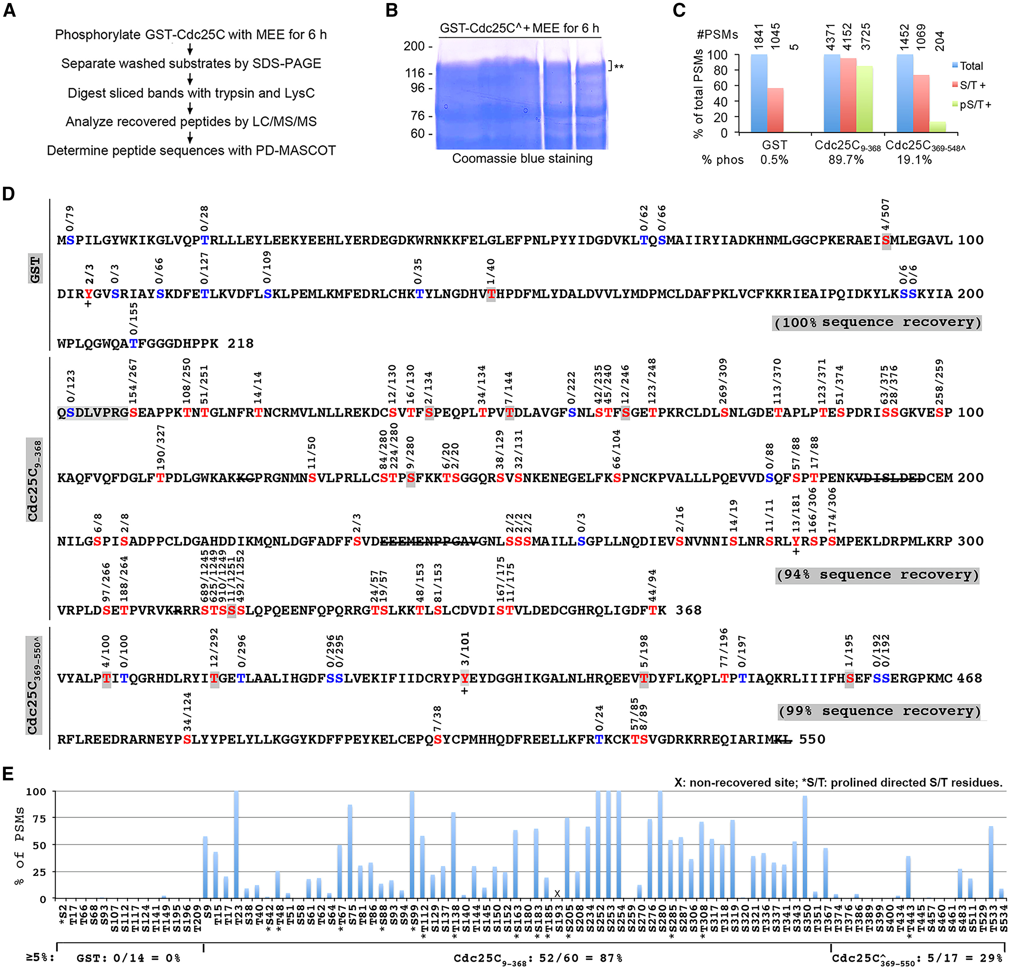 1878726770904649728-mass-spectrometry-identify-proteins-service2.jpg