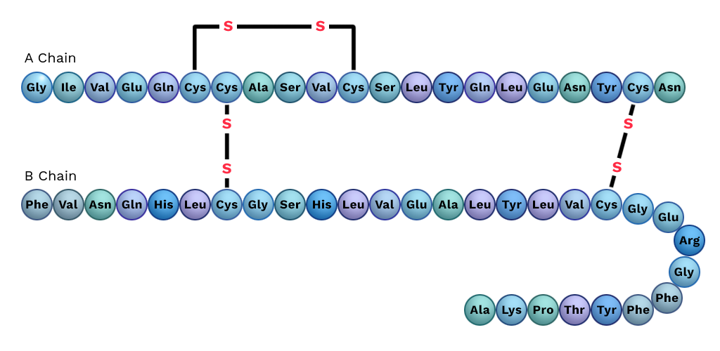 1878734868272762880-protein-sequencing-service1.png