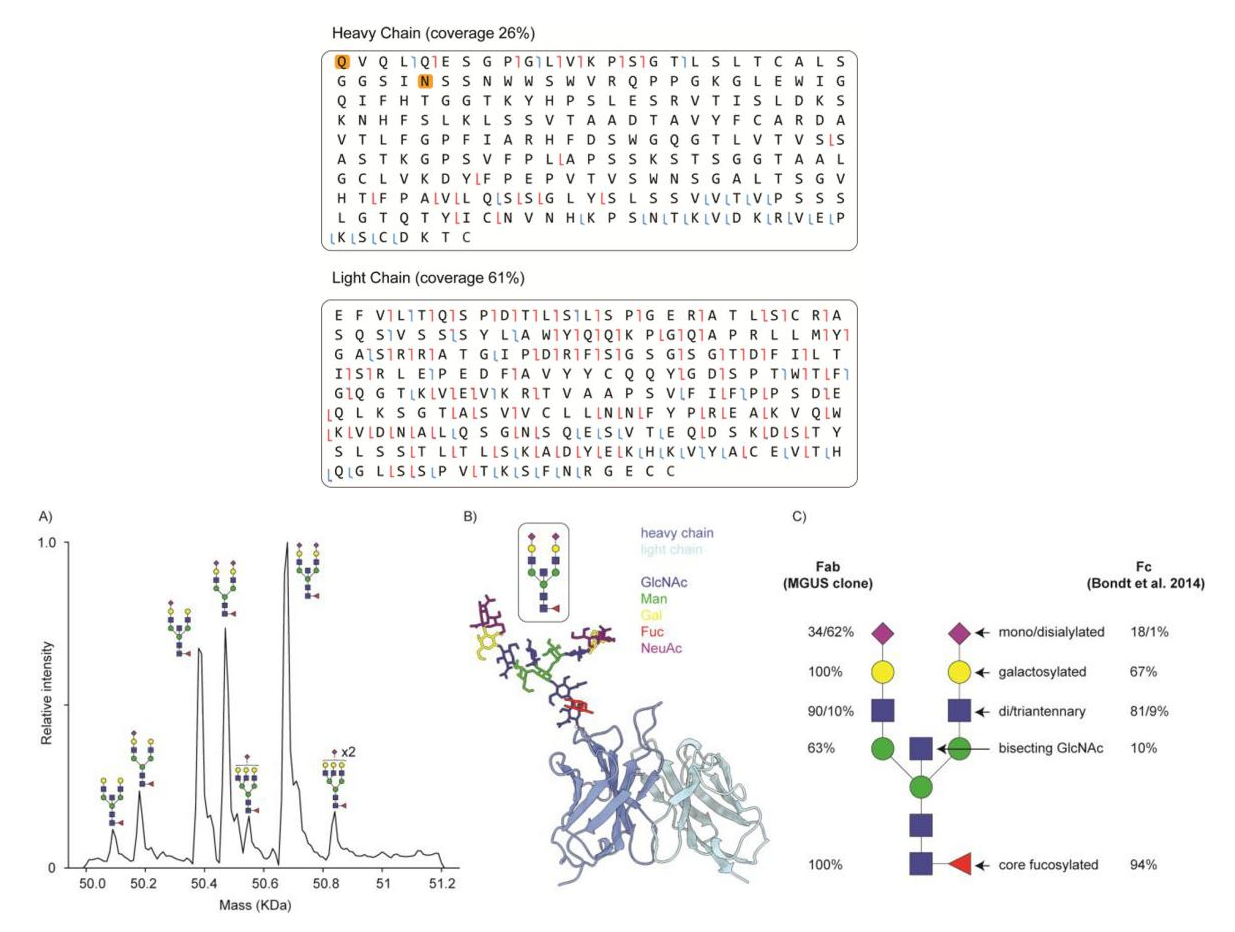 1878737544024805376-protein-sequencing-service3.png