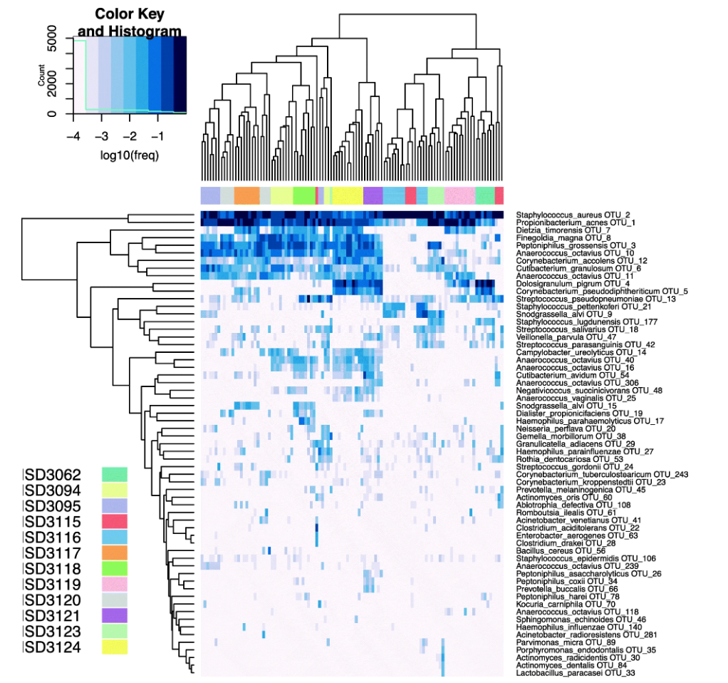 1878999573323173888-16s-rrna-sequencing-bacterial-identification-service3.png