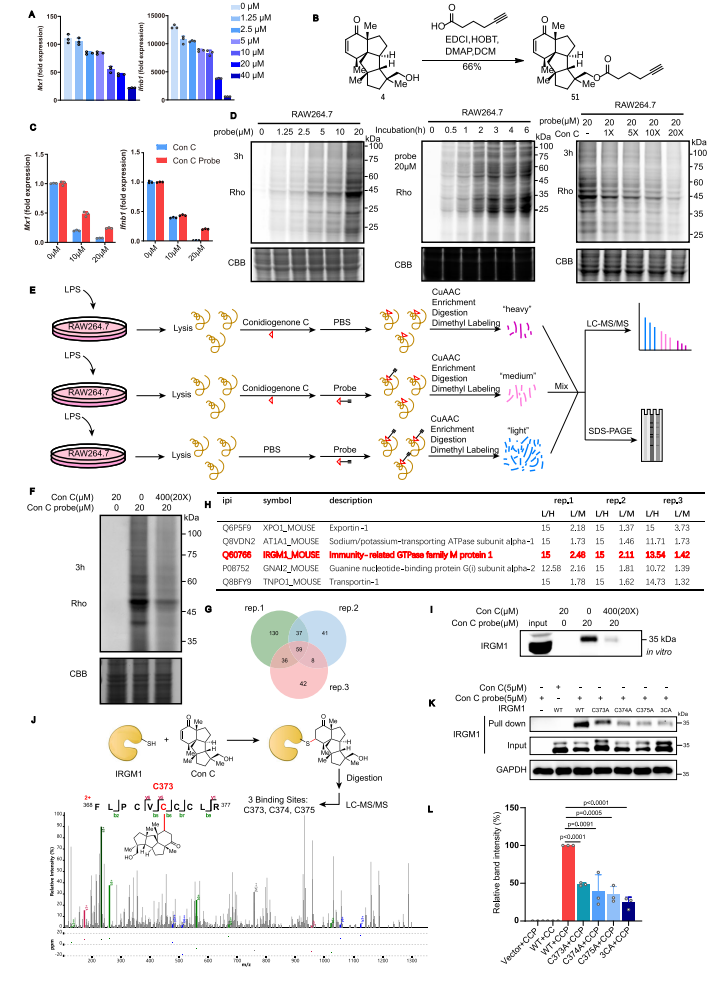 1878999638626349056-proteins-analysis-service3.png