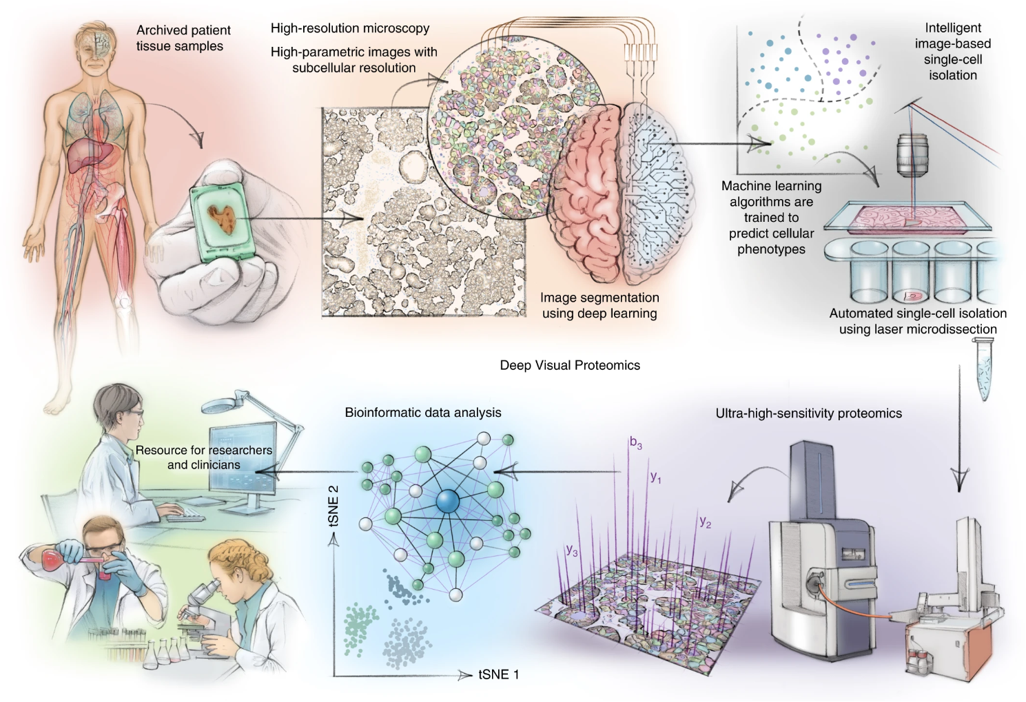 1879406269476491264-visual-proteomics-service1.png